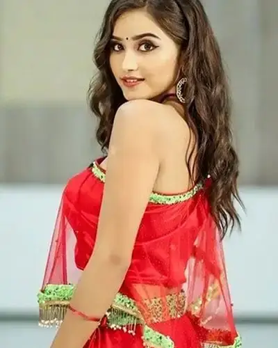 Call Girls Pochampalli Cash On Delivery